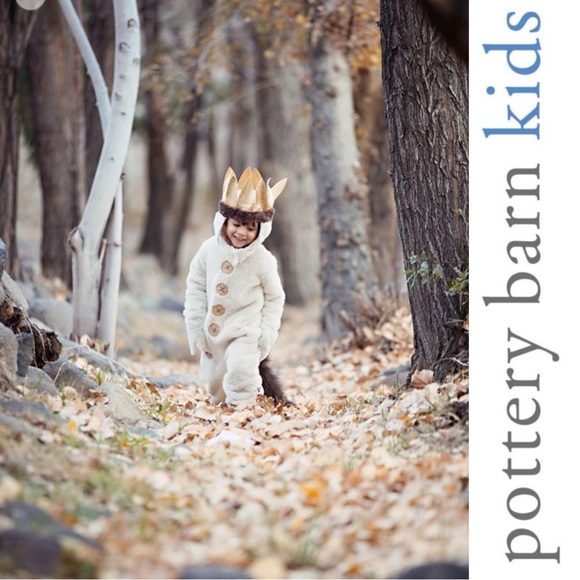 Pottery Barn Kids Other - Pottery Barn Kids | Where the Wild Things Are Halloween Costume | Size 4-6 Years